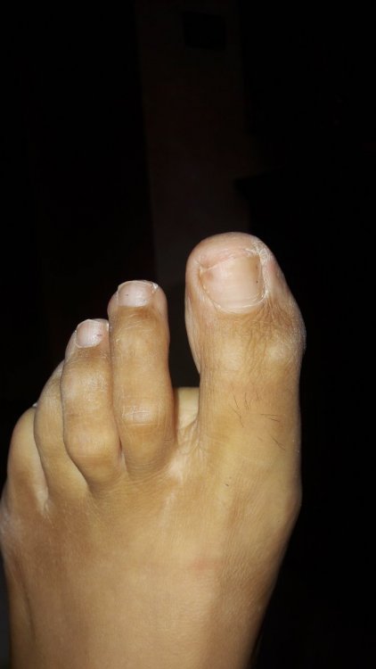 20190805_122307.thumb.jpg.f02319650ad525faf8655e26251cd6e5.jpg