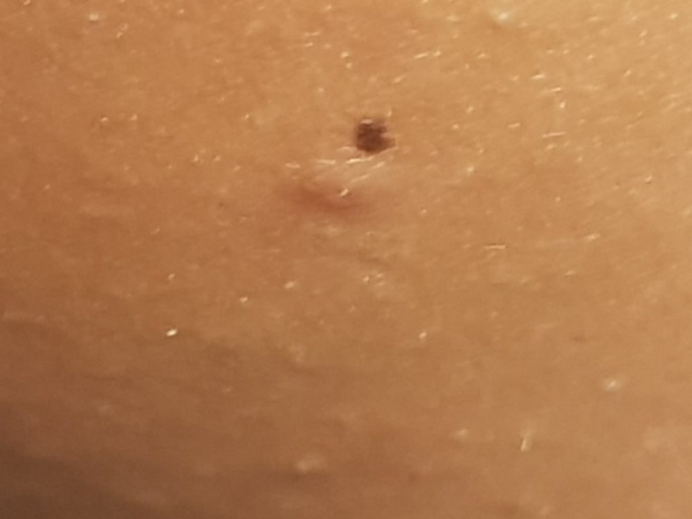 20190809_185631.jpg