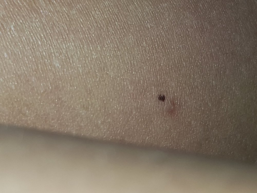 20190809_215707.jpg
