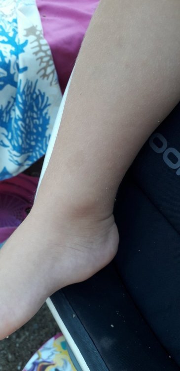 20190822_124926.jpg