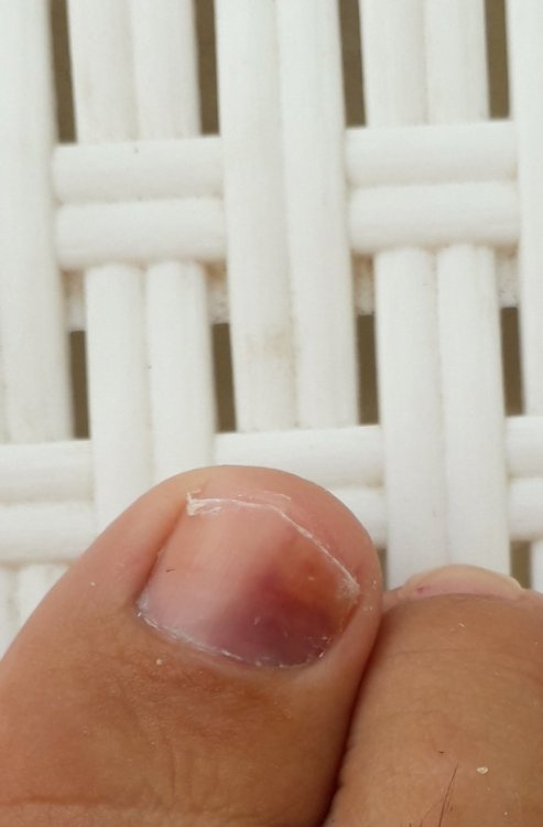 20190824_080921.jpg