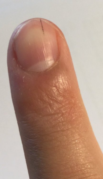 858CAF66-1DB2-4CC4-8A9B-BF2EBC628BE4.jpeg