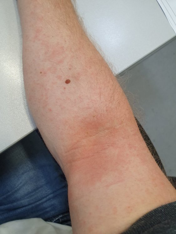 20190911_094200.jpg