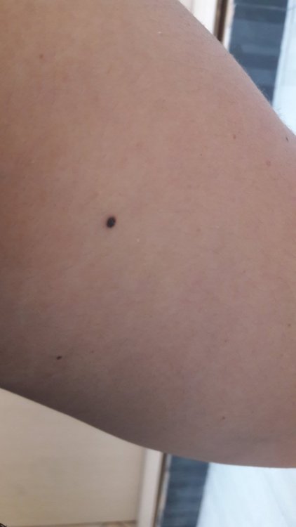 20190912_154800.jpg