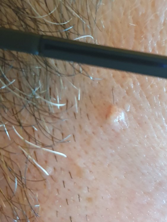 20190927_134248.jpg