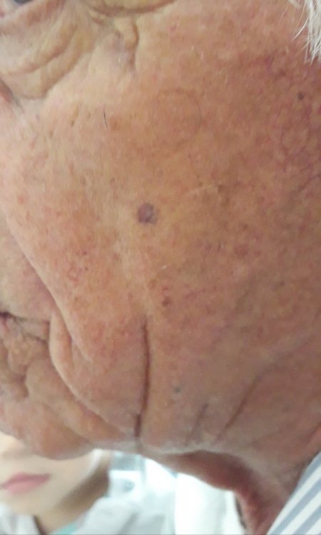 20190928_130305.jpg