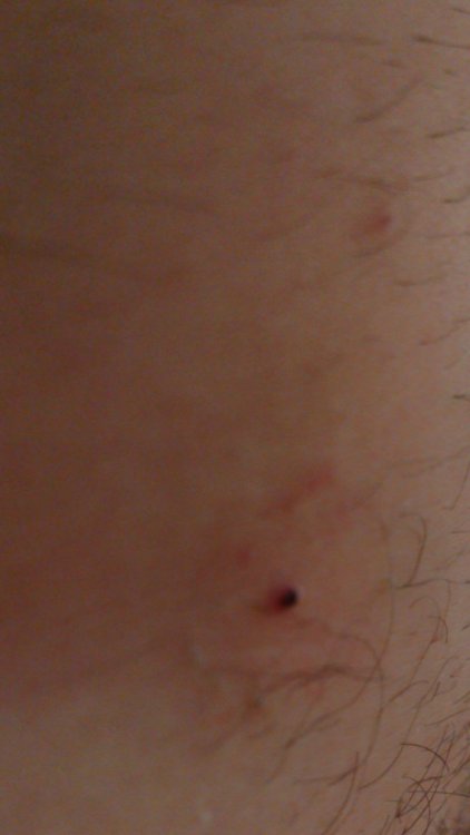 DSC_0000_BURST20190923131734538.JPG