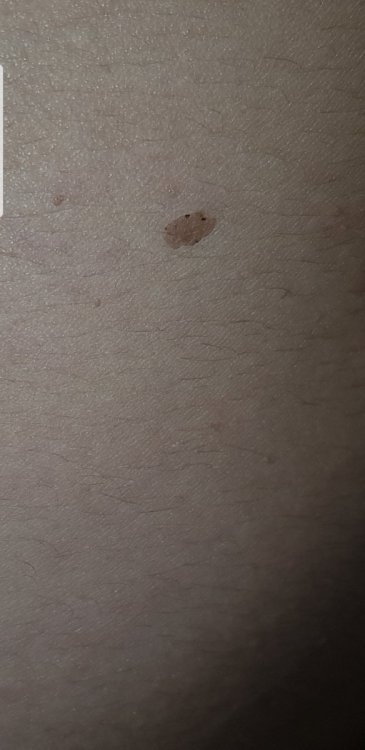 Screenshot_20190928-160805_Gallery.jpg
