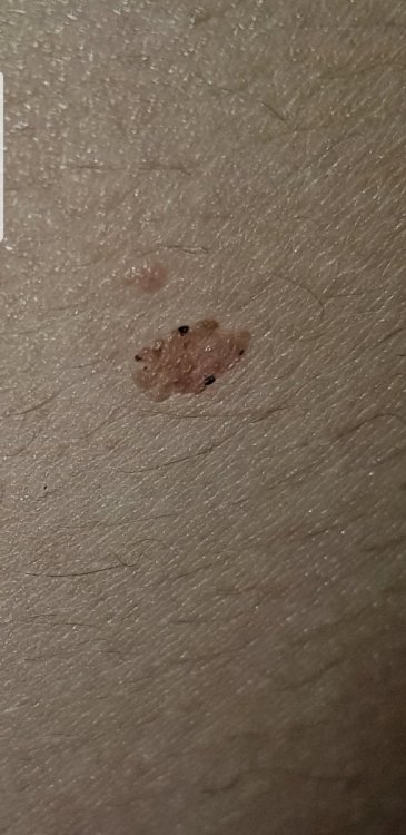 Screenshot_20190928-215123_Gallery.jpg