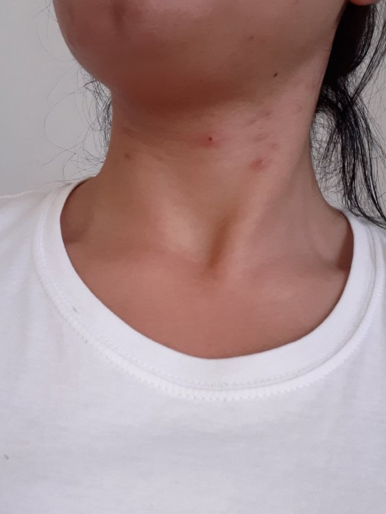 20191030_104246.thumb.jpg.3d2362b043fe552a642e44b5738fd809.jpg