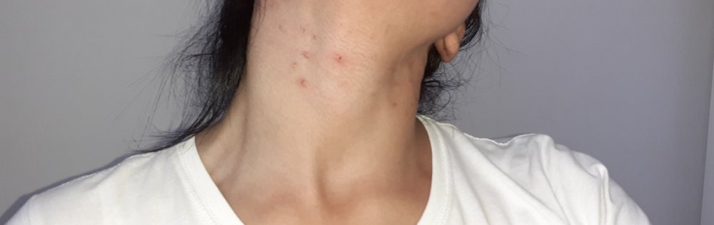 20191030_104607.thumb.jpg.73037bdfd71ce30fc1c60b0ea4690f50.jpg