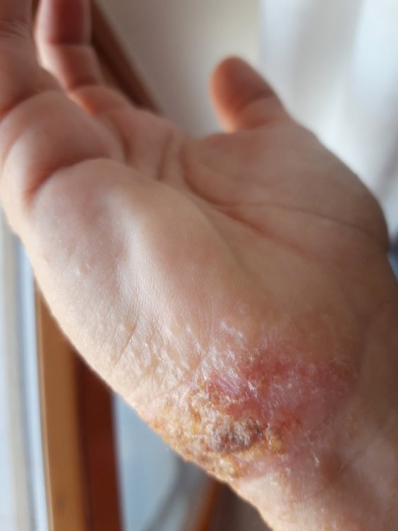 20191102_091119.thumb.jpg.759c18bc4aa0c946ba42a57a6169201d.jpg