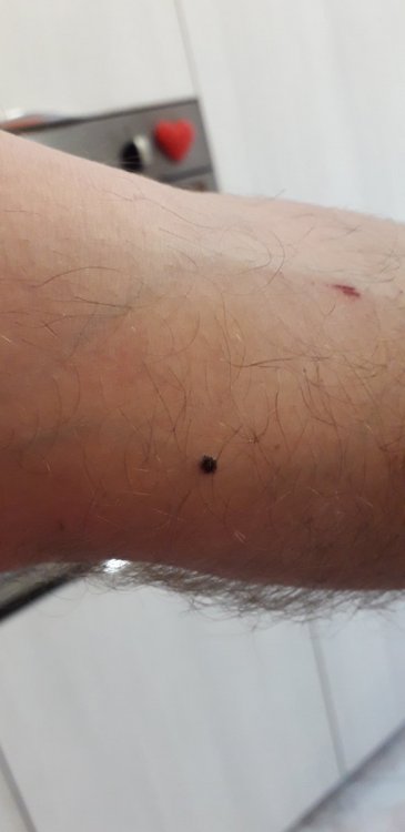20191102_123908.thumb.jpg.3e2d5935babfd82cf074709d347ef71c.jpg