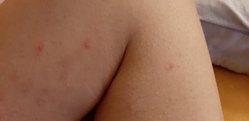20191114_012154.jpg