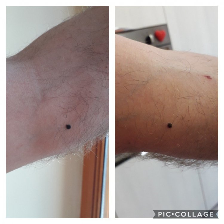 Collage 2019-12-01 15_02_51.jpg