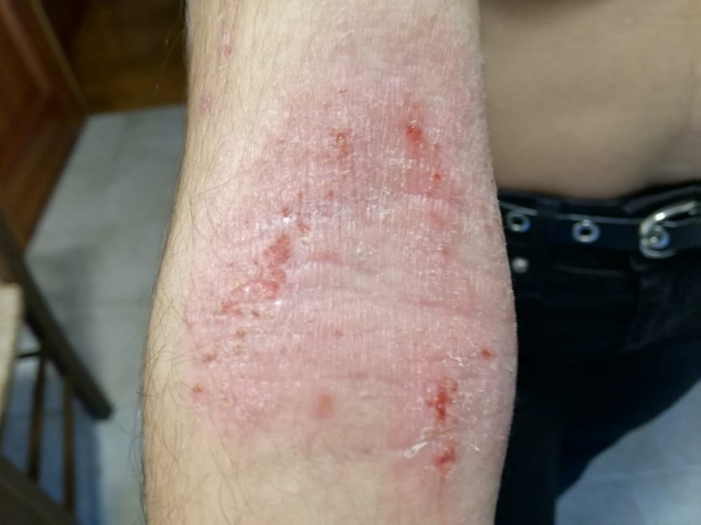 WhatsApp Image 2019-12-07 at 14.10.13 (1).jpeg