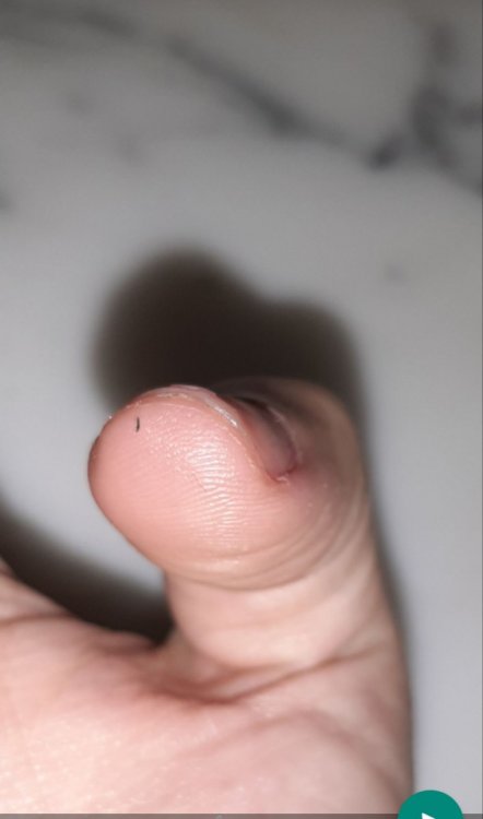 20191204_170313.thumb.jpg.bccea6fe525ba93fea2a251d0f860b91.jpg