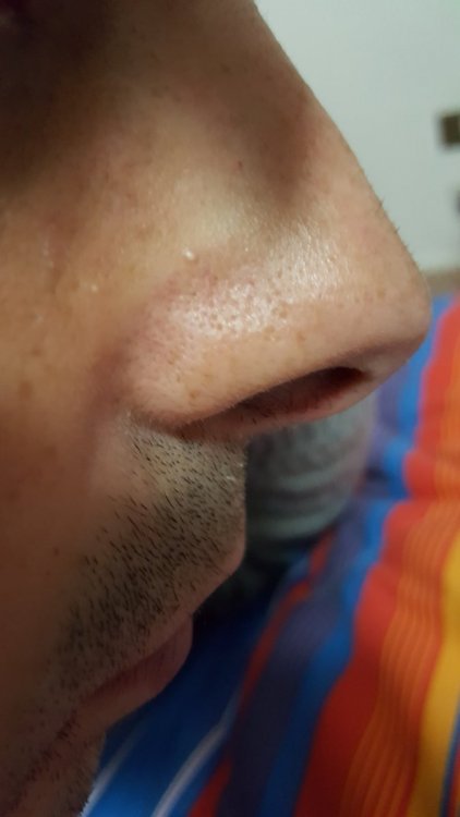 20191209_021505.thumb.jpg.8489fbdca11d26848ef56e07015b5a00.jpg