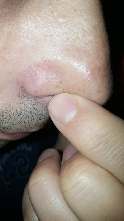 20191209_112324.thumb.jpg.3d024d5564e35d4e36d7c68e8a4d6777.jpg