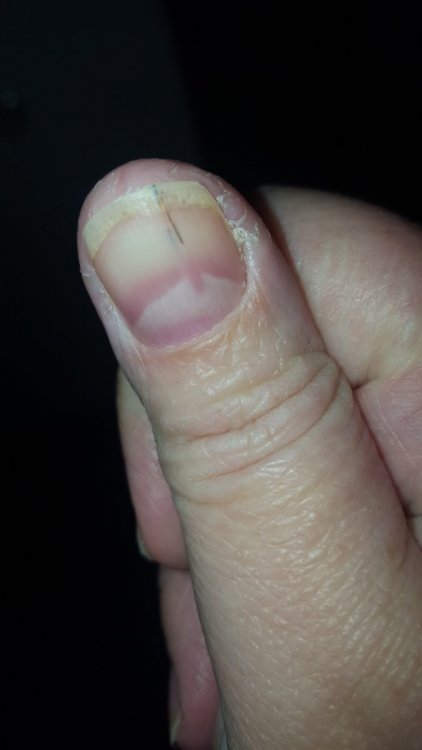 20191209_213017.thumb.jpg.cdcac3a79ea12ce32eb662ef4bff8957.jpg