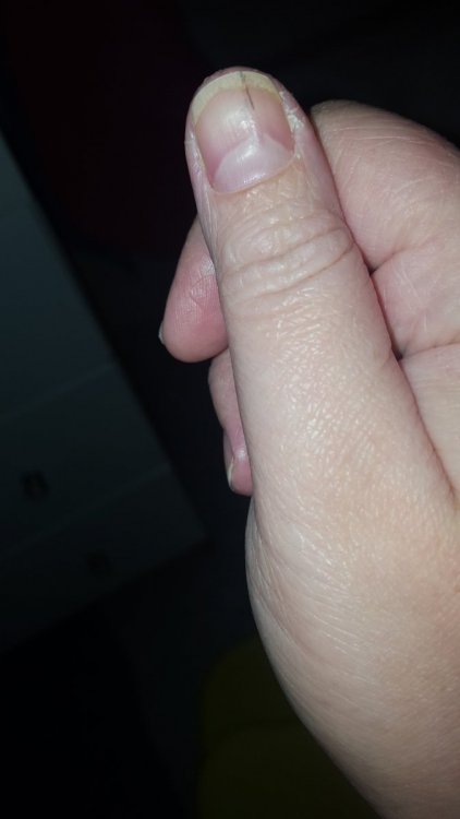 20191209_213118.thumb.jpg.0605636178601ddf11cb32b981bc2079.jpg