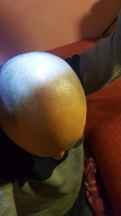 20191210_004533.thumb.jpg.501a888e91ed1d68647ce98579e8188e.jpg