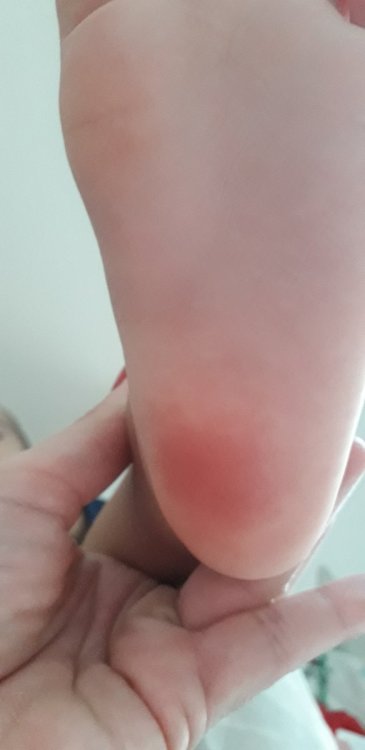 20191224_142506.thumb.jpg.832dc448f127592aeb9169990acbb03c.jpg