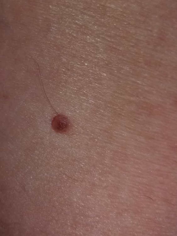20191229_221630.jpg