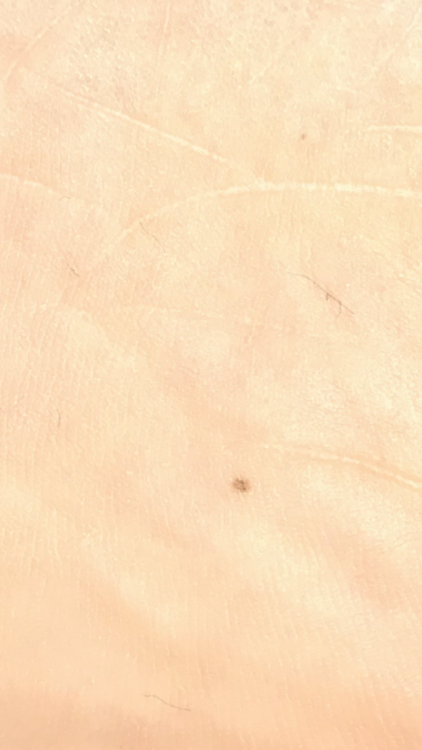 966AF3A7-A9EC-4F30-B100-8810B523336C.png