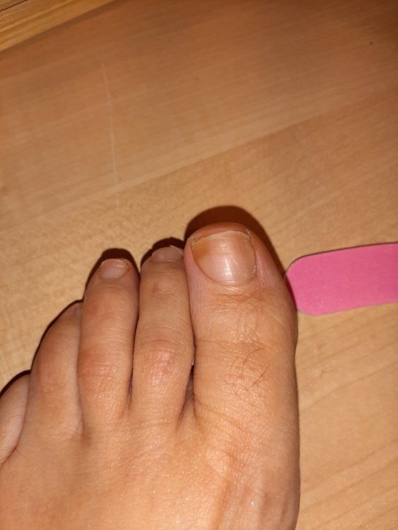 20200131_181112.thumb.jpg.fac0998a5ada0a8316081a9f9cfc09e2.jpg