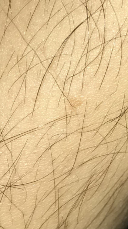 C8C0B9EE-EFC5-46C1-BEA1-1573E43E00D8.png
