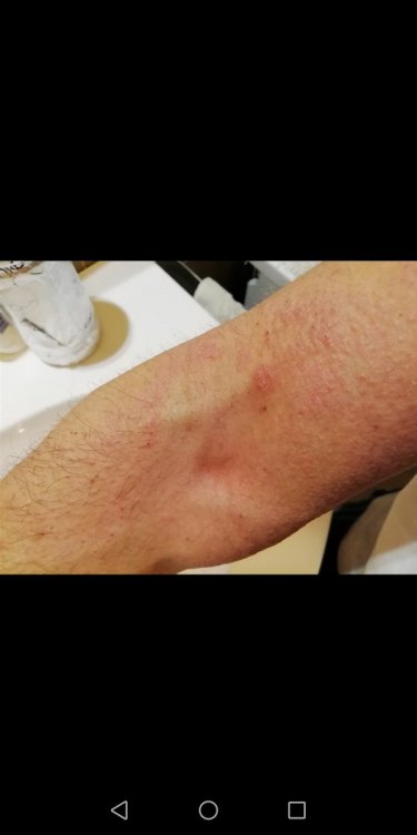 Screenshot_20200219_195016_com.android.gallery3d.jpg