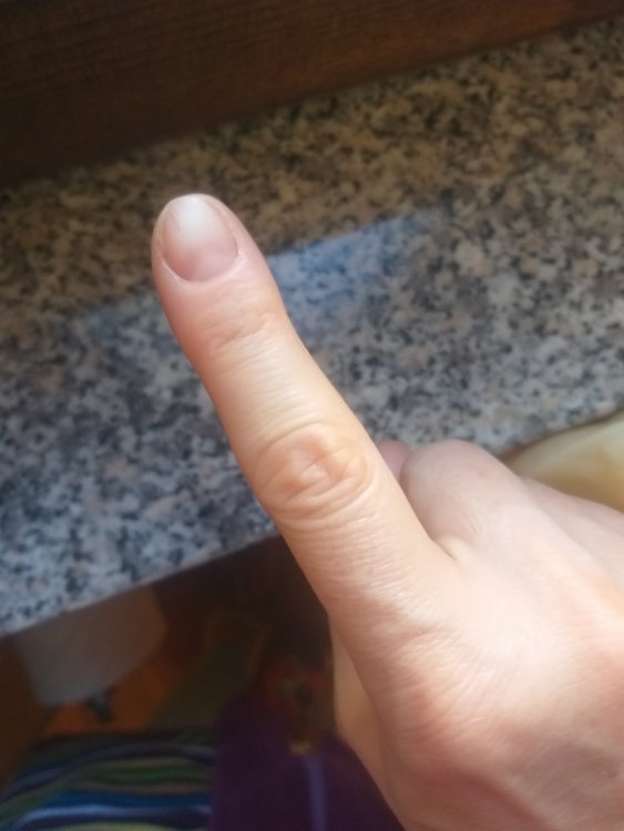 15844283480152578972829431502231.thumb.jpg.26a022ba3eb91583a1d0dfda8267c99b.jpg