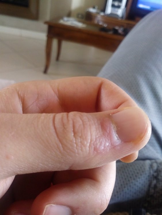20200426_115204.thumb.jpg.9208c8df5fdbfea682cd2bdabe91bbd6.jpg