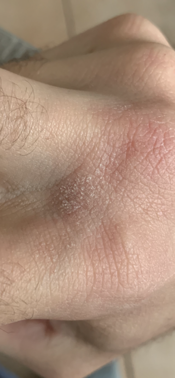 IMG_1522.thumb.PNG.664de9266478010e46f40a7bd75c0a6c.PNG
