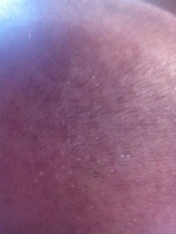 IMG_20200420_125548.jpg
