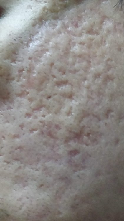 img2.jpg