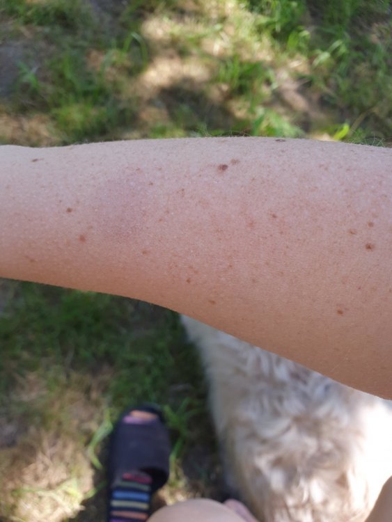 20200526_152649 (1).jpg