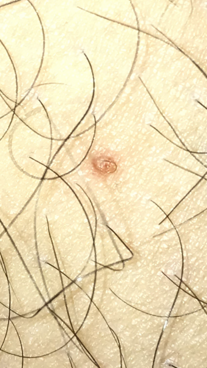 341B4EBD-E22F-4C97-B907-0A6BDD7B451D.png
