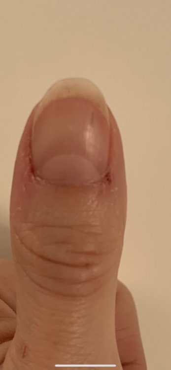 FC4D3FA7-2D25-4674-A3EC-7F07B9C0432B.thumb.png.44d20ca0c6d9e8eef195430a6dc34a0b.png