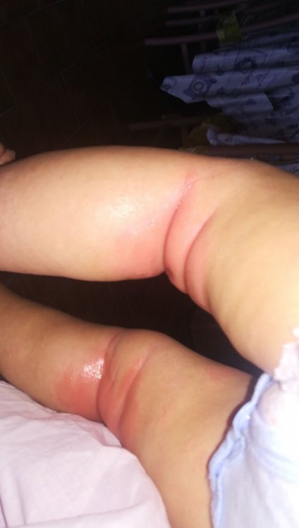 IMG-20190816-WA0020.jpeg