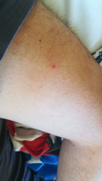 IMG-20200506-WA0011.thumb.jpeg.ade09a68ddae8ddde9431a3e35a551c5.jpeg
