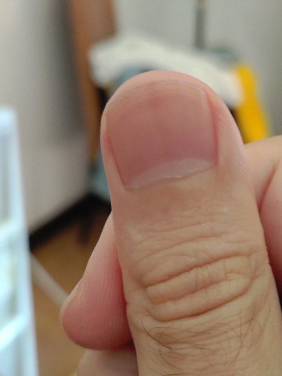 P_20200531_175239.thumb.jpg.e2095935c981dfeeac58b4512bc16cf7.jpg