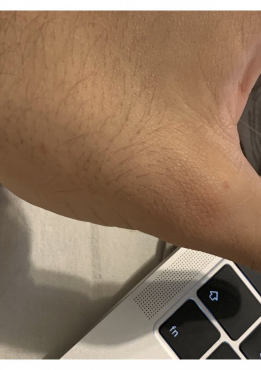 a.thumb.jpg.fca6512082499acb4e6554fdab303302.jpg