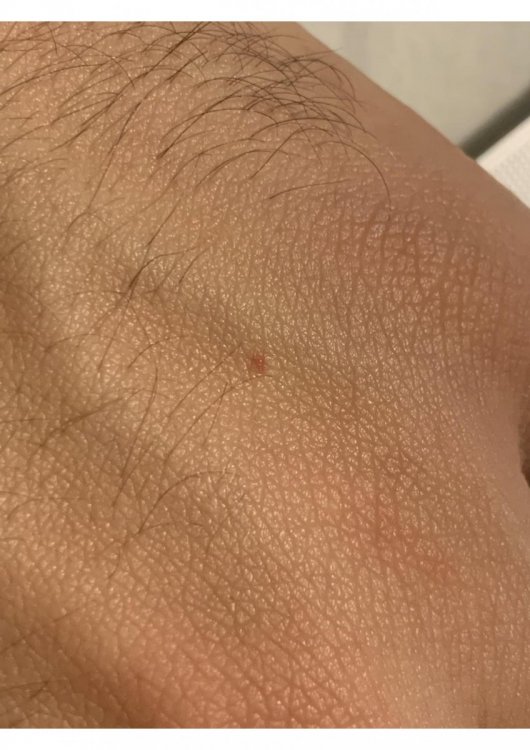 b.thumb.jpg.e335e76246f8deec10acb55ced66fdd3.jpg