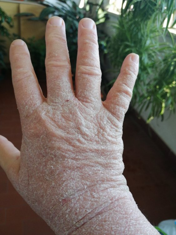1 giugno mano dx ore diurne.jpg