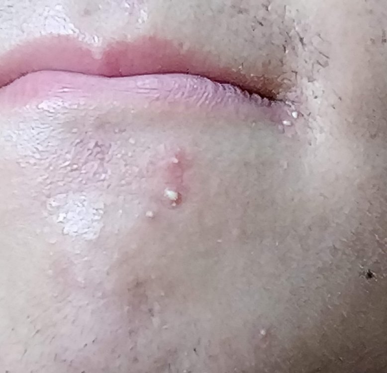 IMG02.jpg