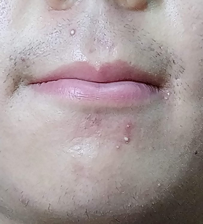 IMG1.jpg