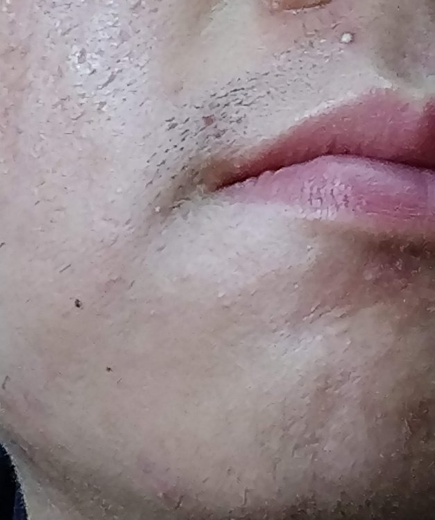 IMG3.jpg