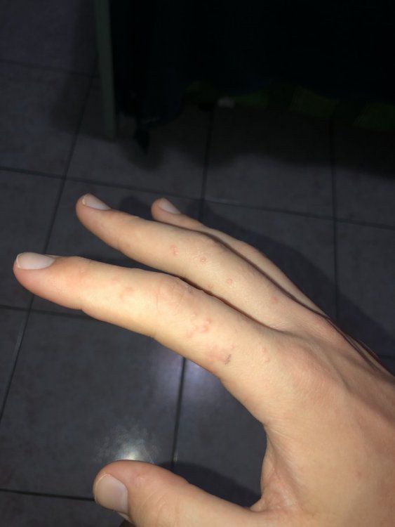 image.jpg